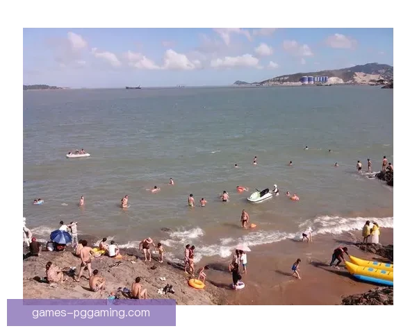 冲浪数据分析：潮起潮落数字波纹