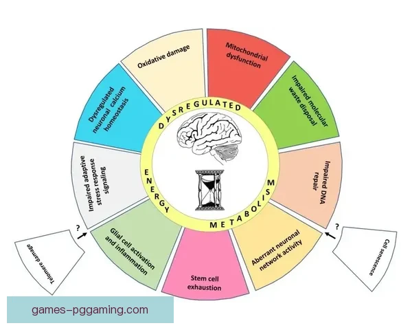 摔跤排名分析：重磅综述及赛季预测