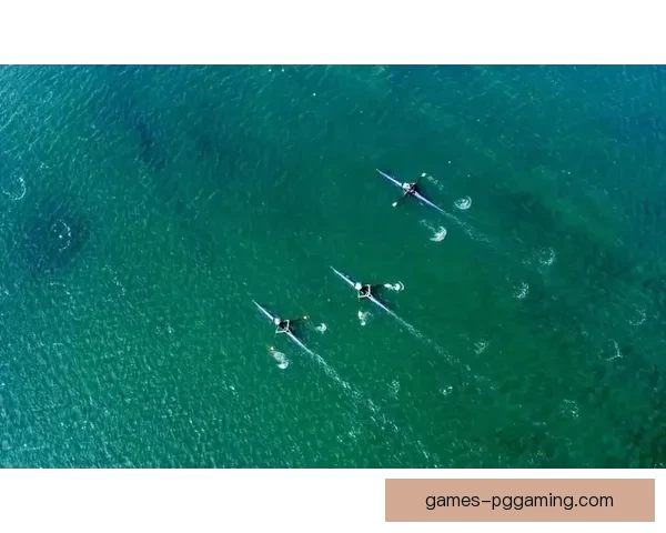 激情澎湃！探索赛艇锦标赛的背后故事