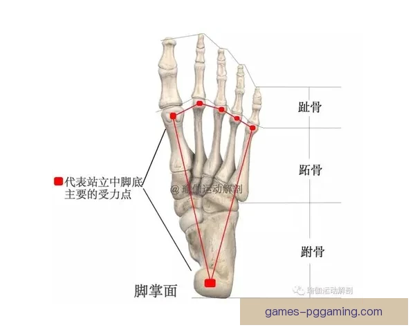 瑜伽对战分析：优劣势对比及实战技巧