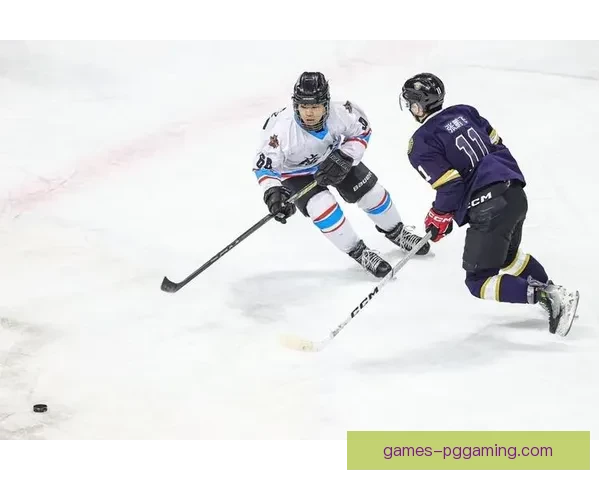 热血激战！冰球竞技风暴席卷，精彩对抗燃烧全场