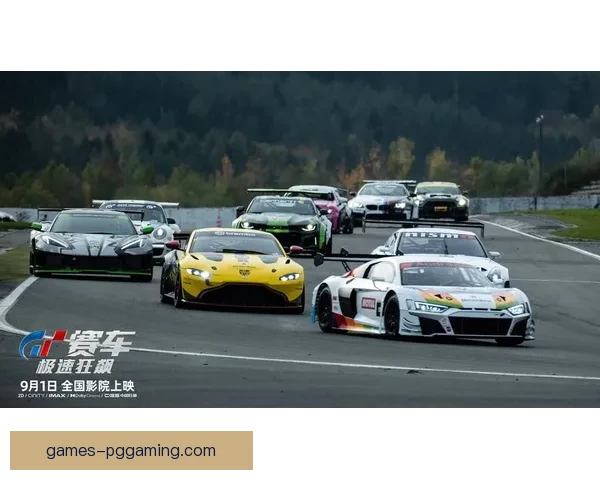 赛车竞速：速度与激情交织的排名之争